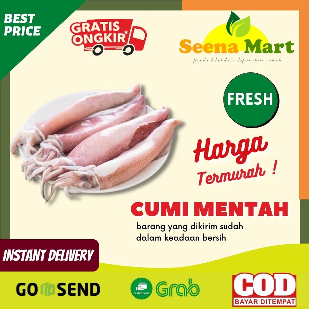 Cumi Segar Seafood Cumi Makanan Laut Cumi Mentah Cumi Segar Olahan Laut Pasar Lampung
