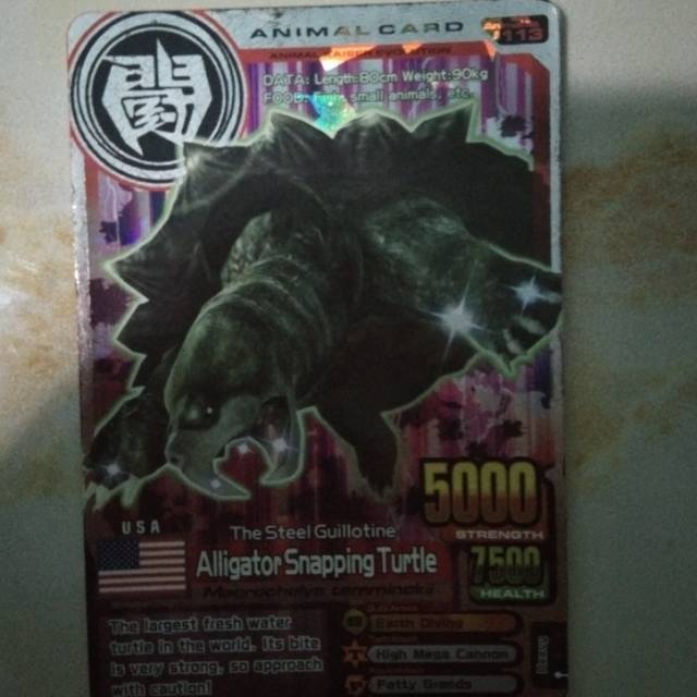 Animal kaiser card aligator snapping turtle (silver card)