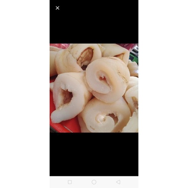 

kikil besar dijamin fresh segar