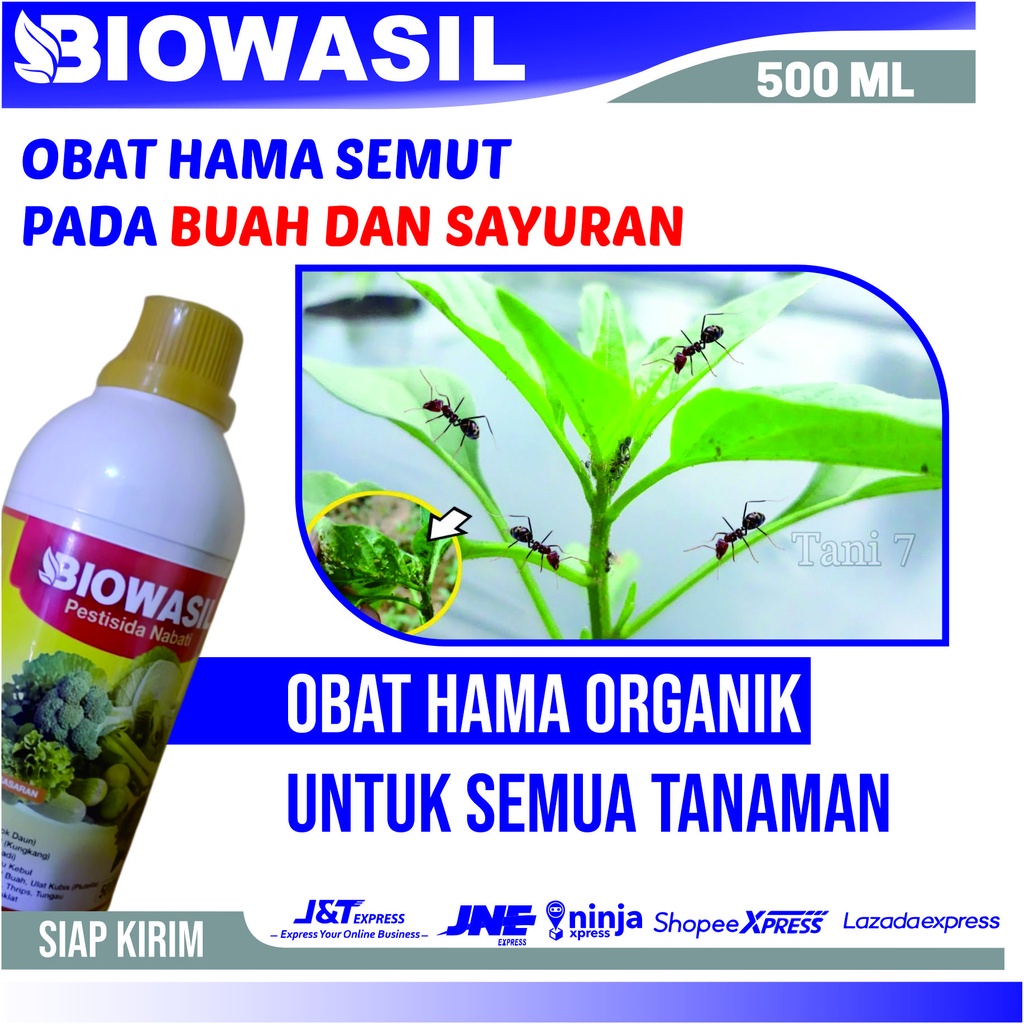 Insektisida Pestisida Organik Obat Hama Semut Semua Tanaman - Pupuk Semprot Bioawasil Obat Hama Semu