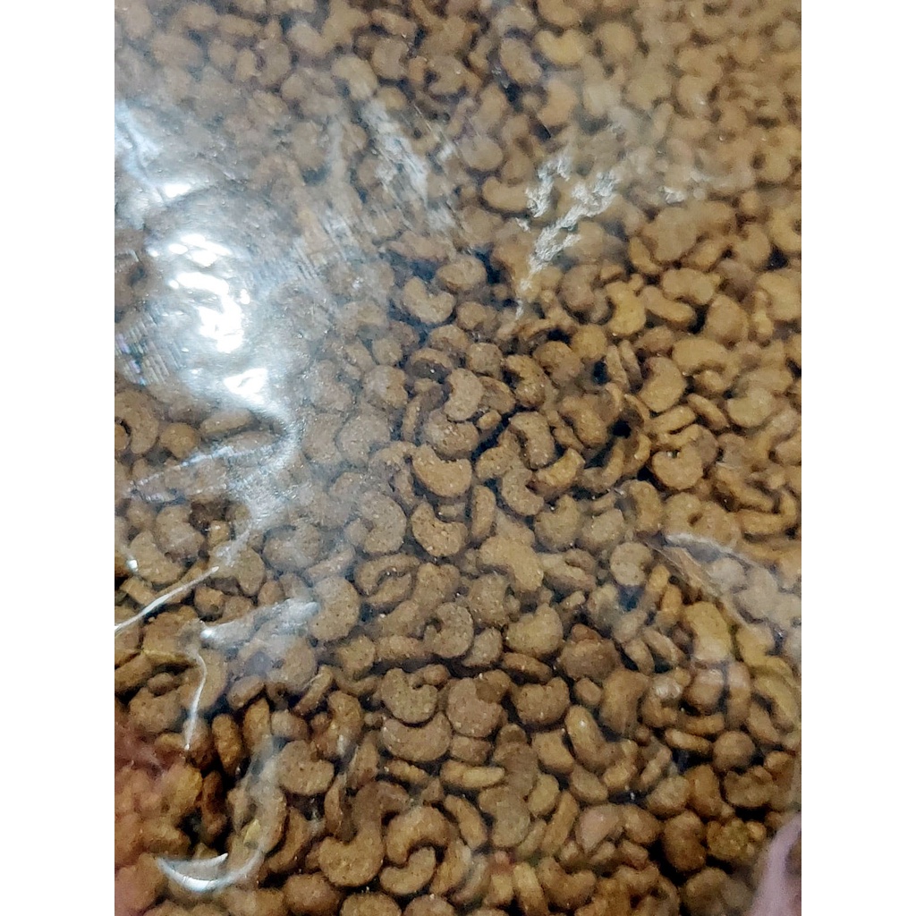 MAKANAN KERING ANAK KUCING KITTEN BOLT 1 KG