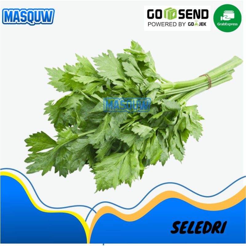 

SELEDRI PER IKAT SAYUR SAYURAN SEGAR MASQUW