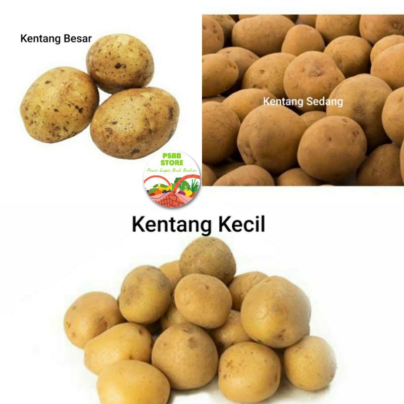 

PASAR GUBENG - Kentang / Potato / Baby Potato - 500gr