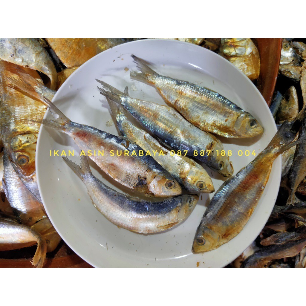 

Ikan Asin Sipil Kering (Kemasan plastik vacuum press)