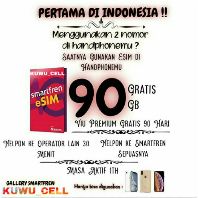 Esim Smartfren Prabayar Internet 4G LTE 90GB 360 Hari