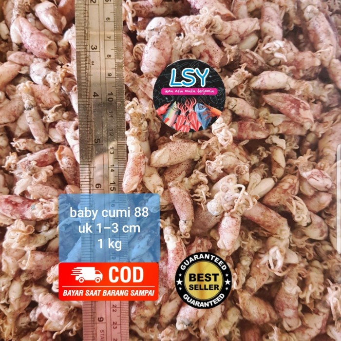 

Q1254521 Ikan Asin Baby Cumi / Cumi Rebus Kering 88% 1Kg Dw51Sqs