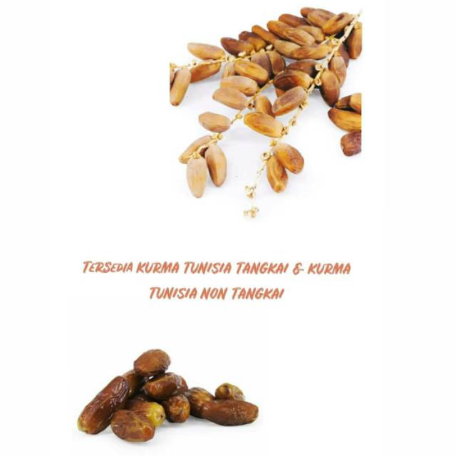 

KURMA TUNISIA TANGKAI