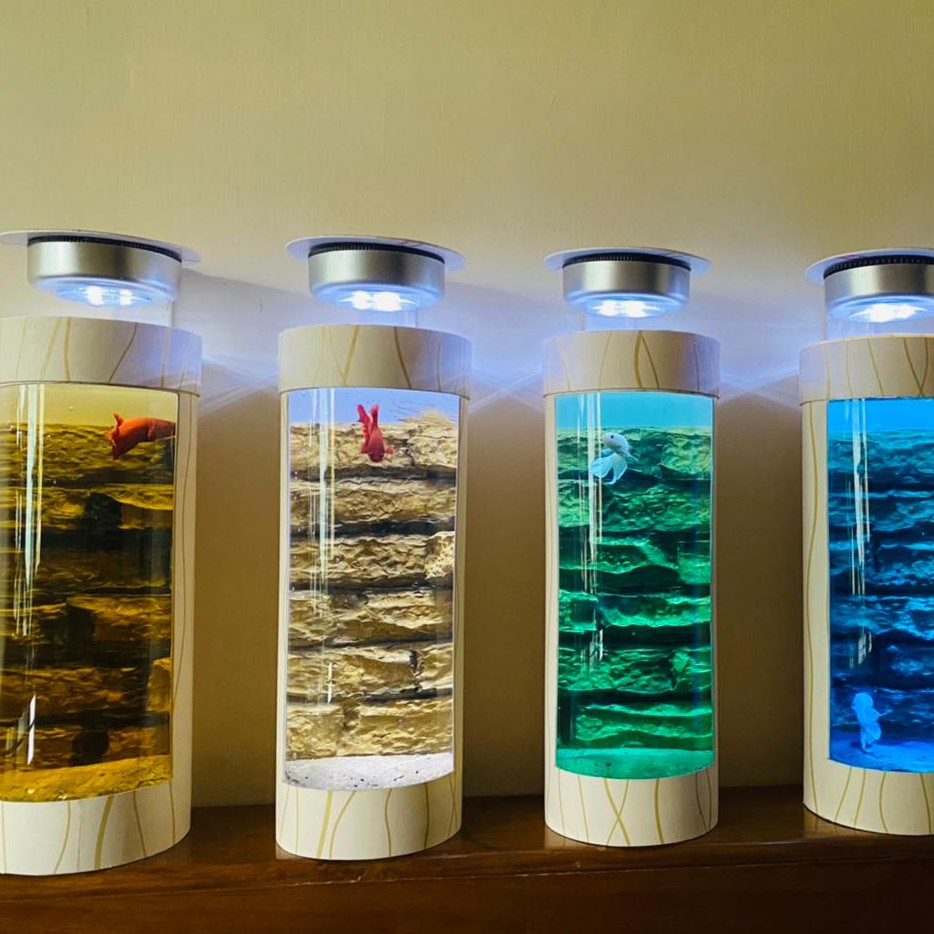 Aquarium Mini Akuarium Cupang Soliter Ikan Cupang Tabung Aquarium Mini Akuarium Cupang Soliter Ikan Cupang Tabung