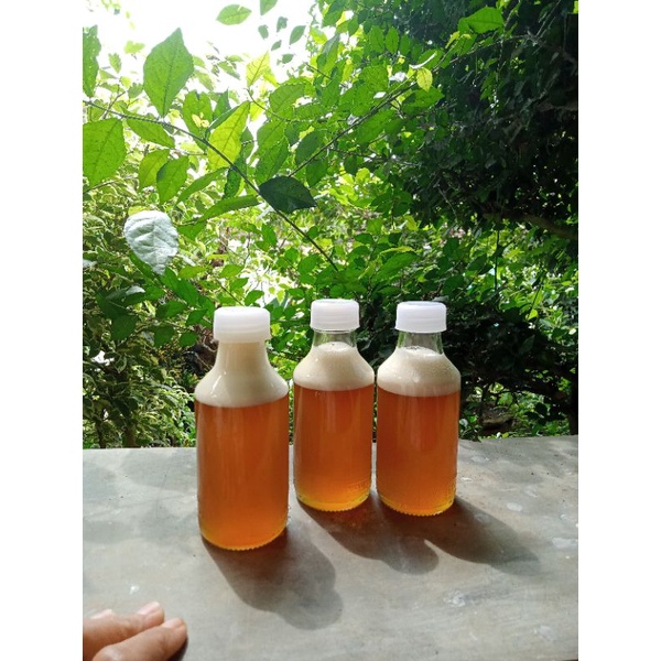 

madu klanceng 150 ml