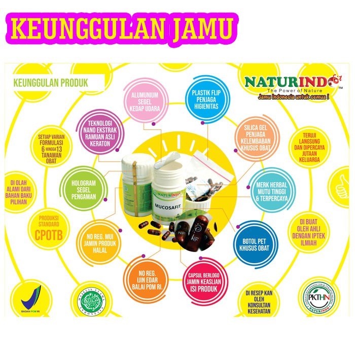 Suplemen Obat Herbal Peninggi Badan Penambah Tinggi Badan Herbal Naturindo Fit OSG-4