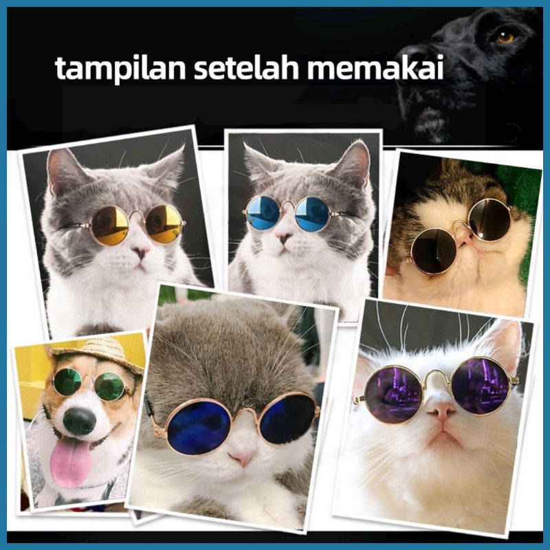 KACAMATA KUCING /ANJING /KELINCI /MONYET