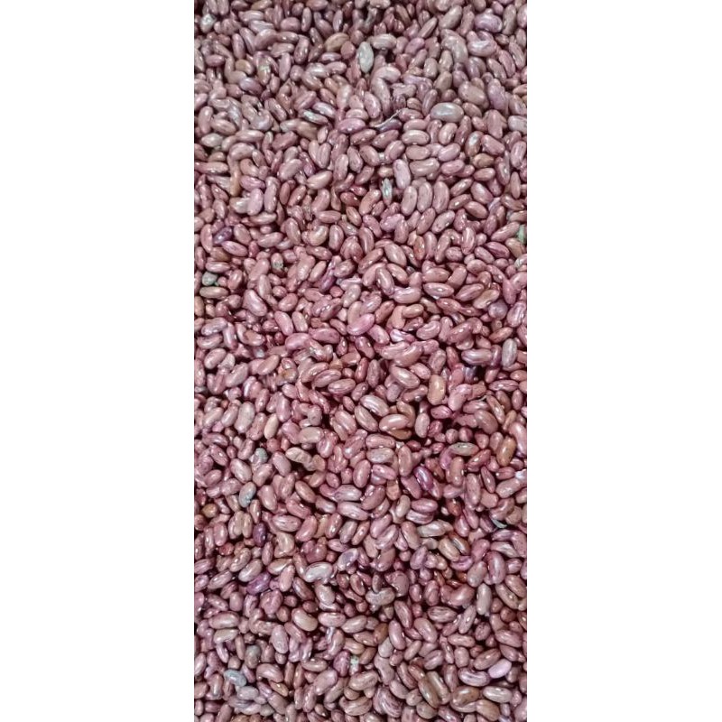 

Kacang Merah Kering 100-250gr