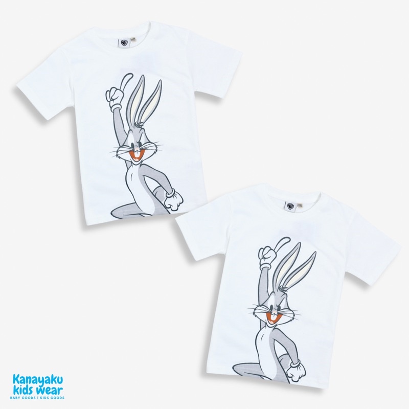 BAJU KAOS ANAK LAKI LAKI TSHIRT WB CLRS BABY LOONEY TUNE FOR BOYS