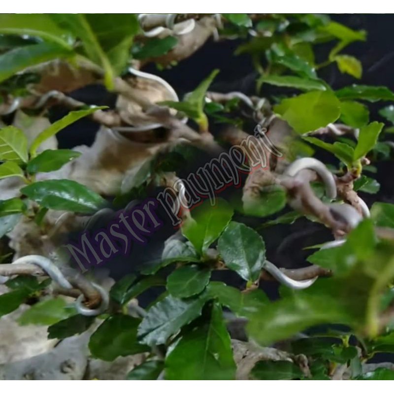 Kawat Bonsai Putih Doff 2mm Eceran Harga Per Meter