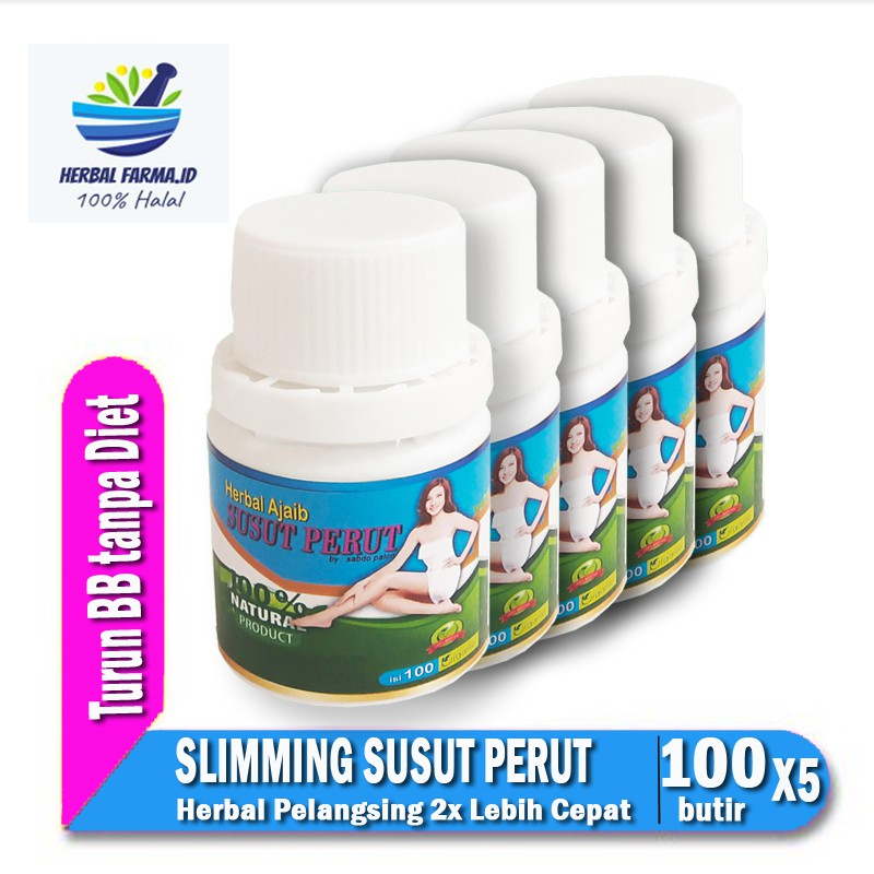 [ 5 BOTOL ] Obat Diet Obat Pelangsing Perut Body Slim 100% Original