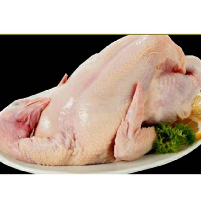 

Ayam pejantan berat 0.7kg