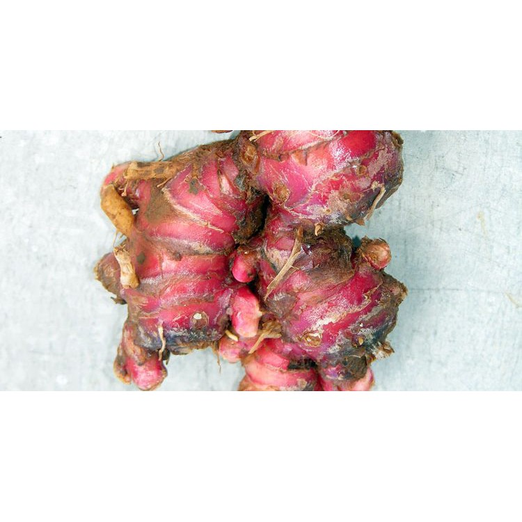 

JAHE MERAH Papapangan - 200 gram