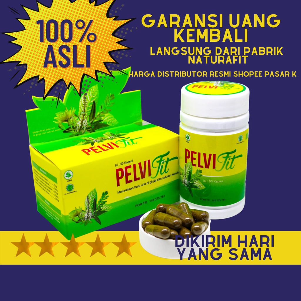 Pelvifit Obat Batu Ginjal, Batu Empedu, Batu Kandung Kemih, Merawat Ginjal, Sakit Pinggang