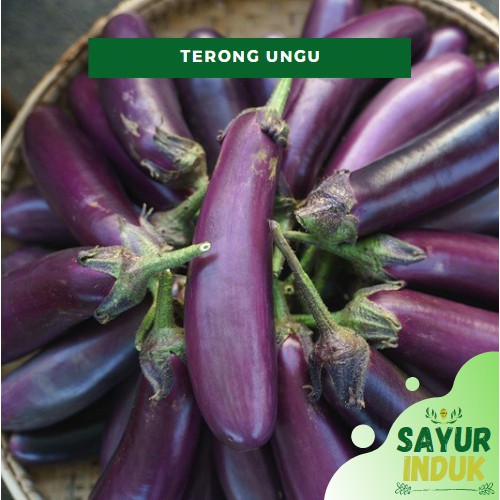 

Sayur Induk - Terong Ungu 250 Gram Fresh Grade A Eggplant