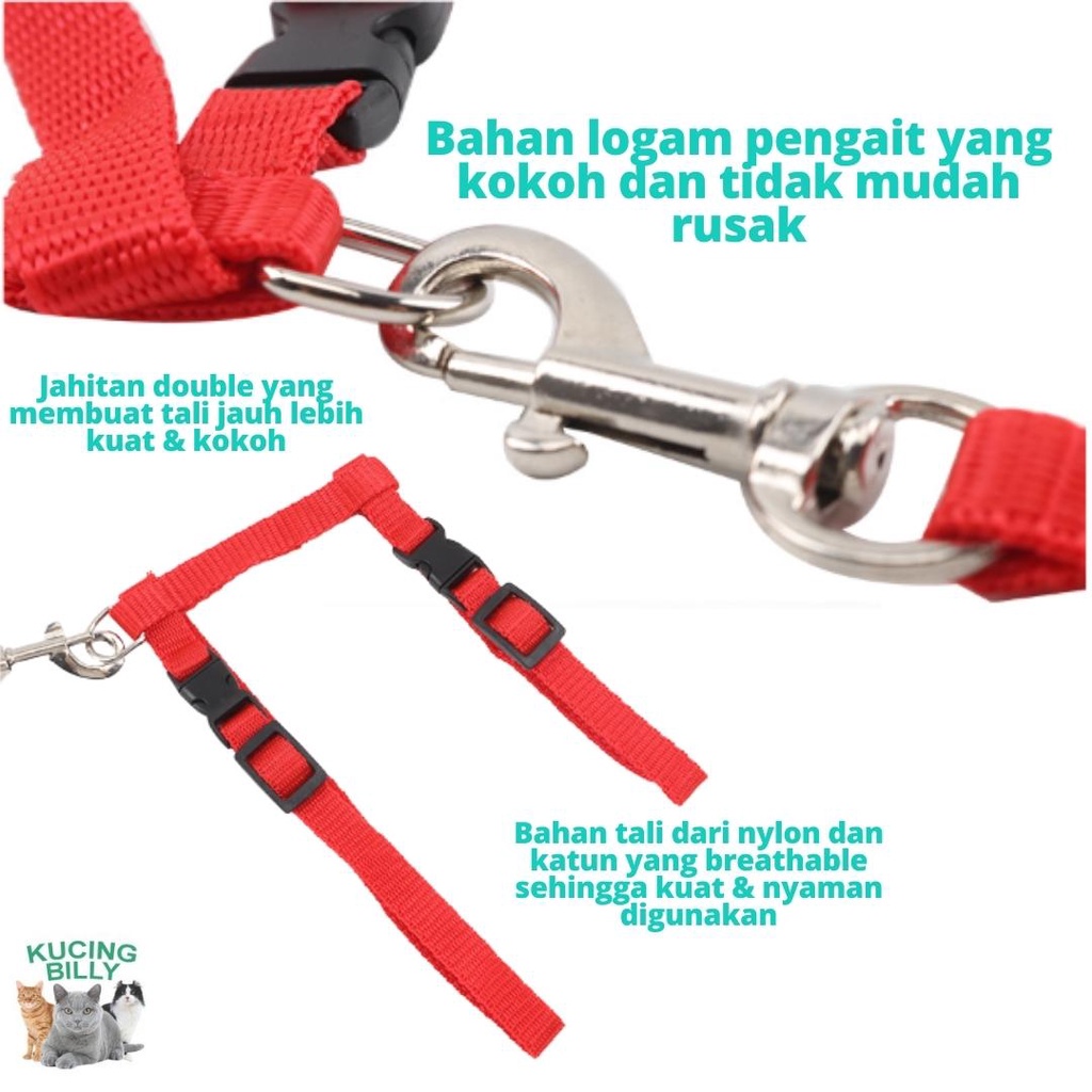 Tali tuntun Harness H polos kucing anjing