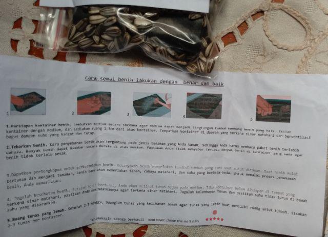 Paket Hemat Benih Bibit Biji 6 Jenis Bunga Matahari Cantik 150 Butir