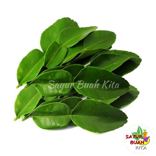 

Daun Jeruk Per pack