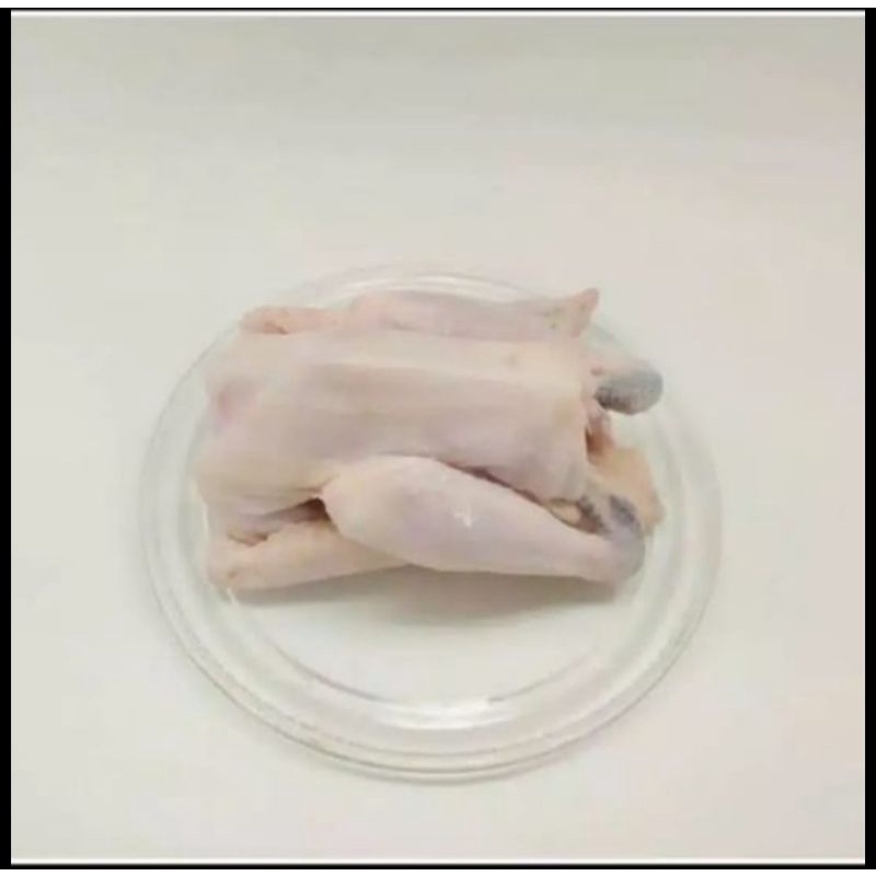 Ayam Kampung Asli