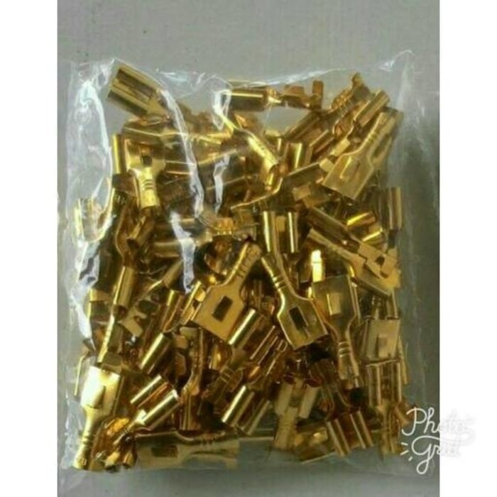 Skun 3555 Female Skun Motor Mobil