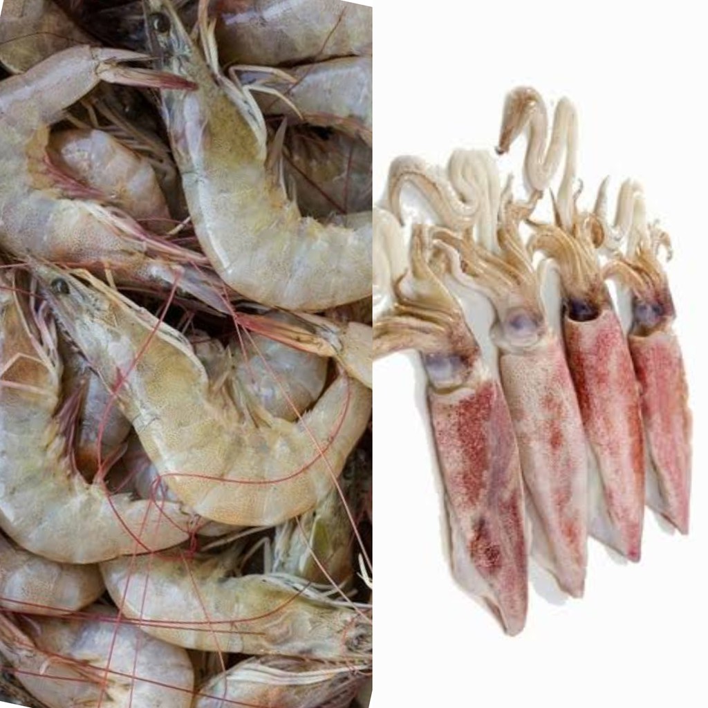 

Udang dan Cumi segar 250g dan 500g