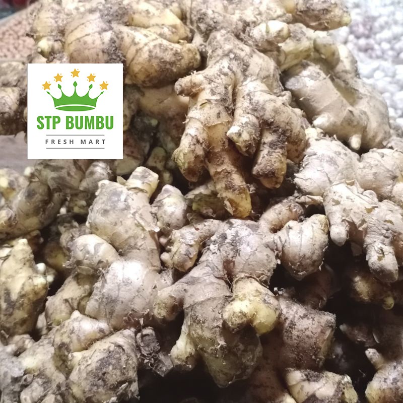 Jahe Putih Besar Segar 500 gram / Jahai Gajah Super Fresh