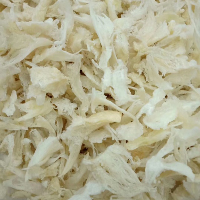 Sarang/ iler burung WALET 100 gram