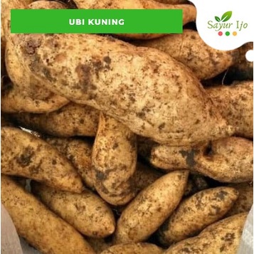 

Ubi Kuning 480 - 500 Gram Fresh Sweet Potato Sayur Hijau Buah Segar