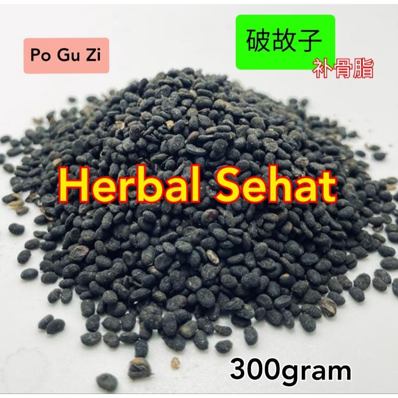 

300 gram - Bu Gu Zhi - Po Gu Zi 补骨脂 破故纸 Psoralea Fructus Malaytea - Pho Ku Ci