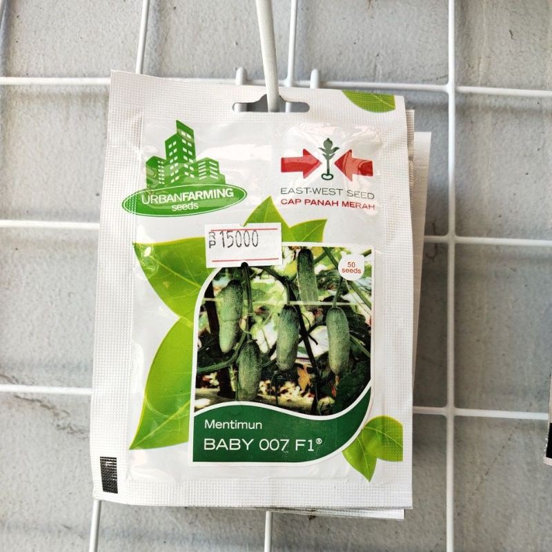 Benih mentimun baby 007 f1 cap panah merah