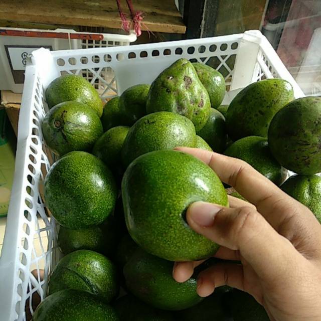 

Buah Alpukat mentega 1kg