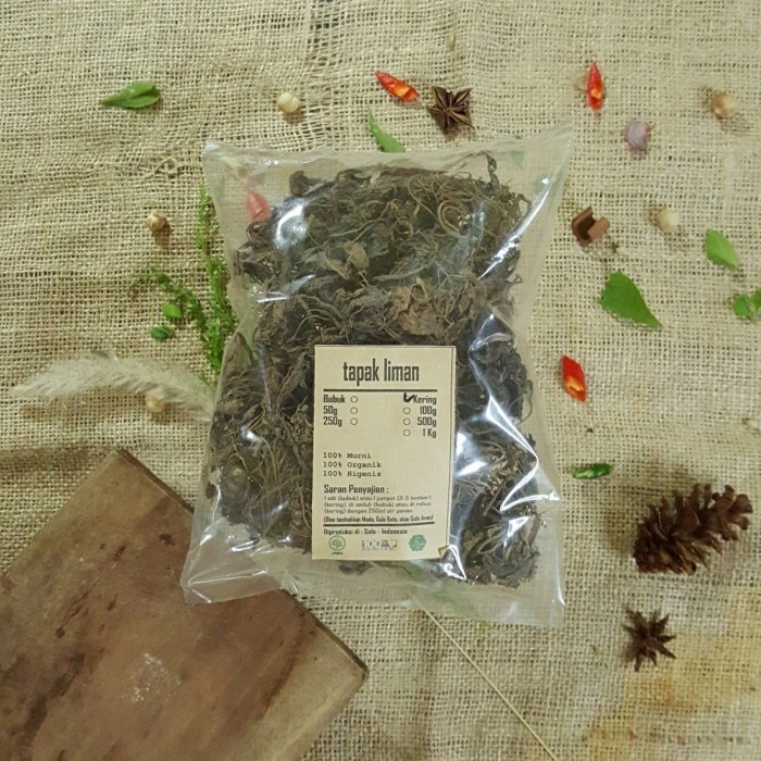 

TAPAK LIMAN KERING 100 GRAM - Elephantopus Scaber - MURNI - JSR