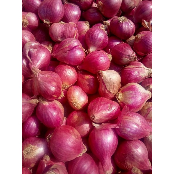 

Bawang Merah Kering Besar