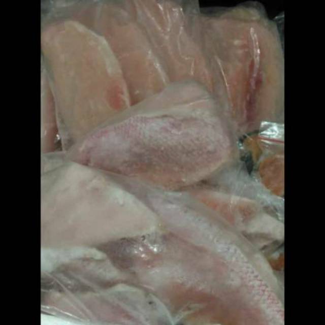 

Kakap Merah 1 Kg [bisa COD]