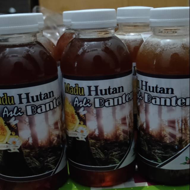 

Madu hutan asli banten