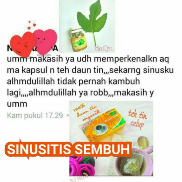 

Kapsul Daun Tin + Teh Tubruk Daun Tin # Obat Sinusitis