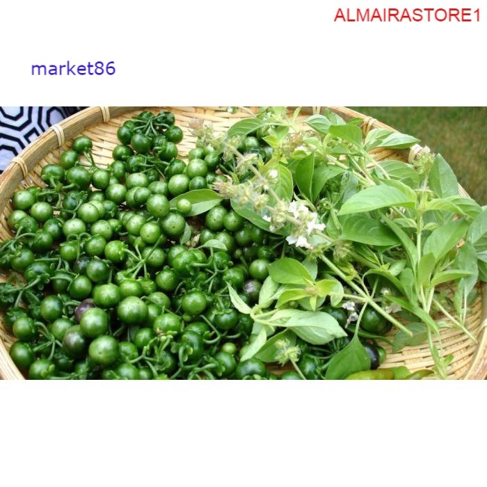

Sayuran Segar Sayur Jakarta FRESH Lenca / Leunca 250 Gram - WFB .