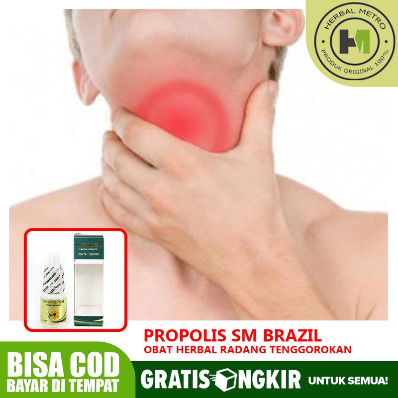 

Obat Radang Tenggorokan - Sakit Tenggorokan Propolis Brazil SM