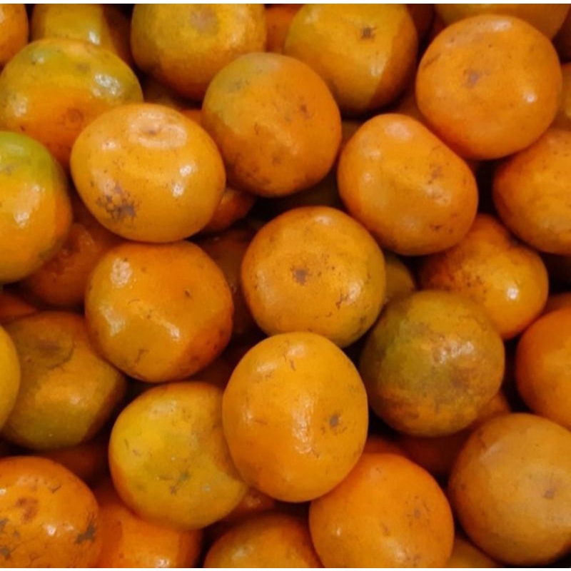 

Jeruk Medan Brastagi Premium 1Kg
