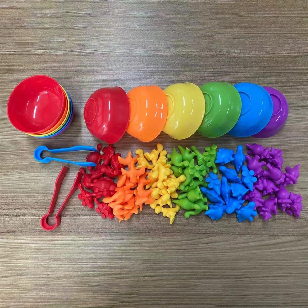 Color Classification Toys Mainan Montessori Anak Mainan Edukasi Mainan Berhitung Sensory Play Sensory Toys Mainan Sensorik Anak