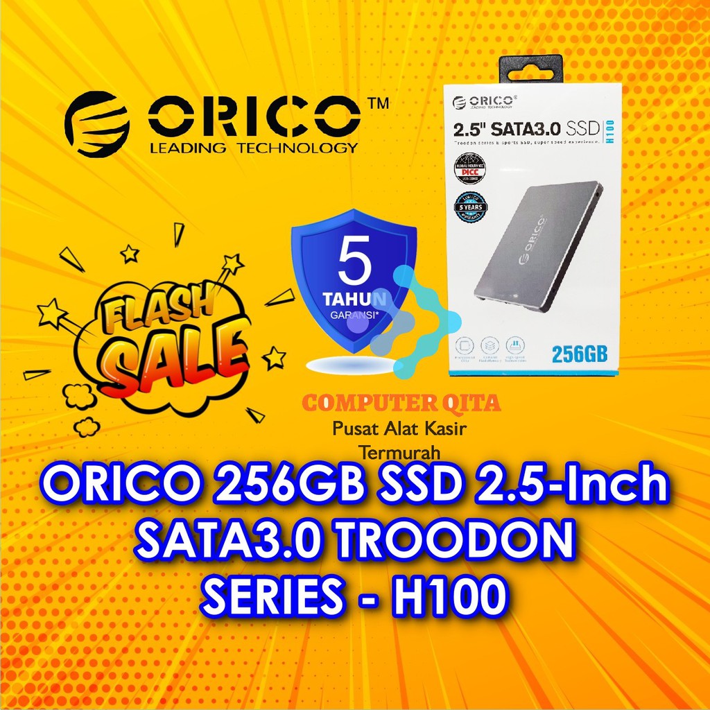 ORICO 256GB SSD 2.5-Inch SATA3.0 TROODON SERIES - H100