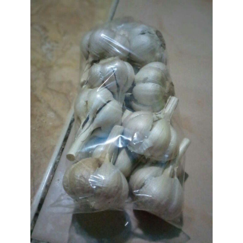 

bawang putih kating