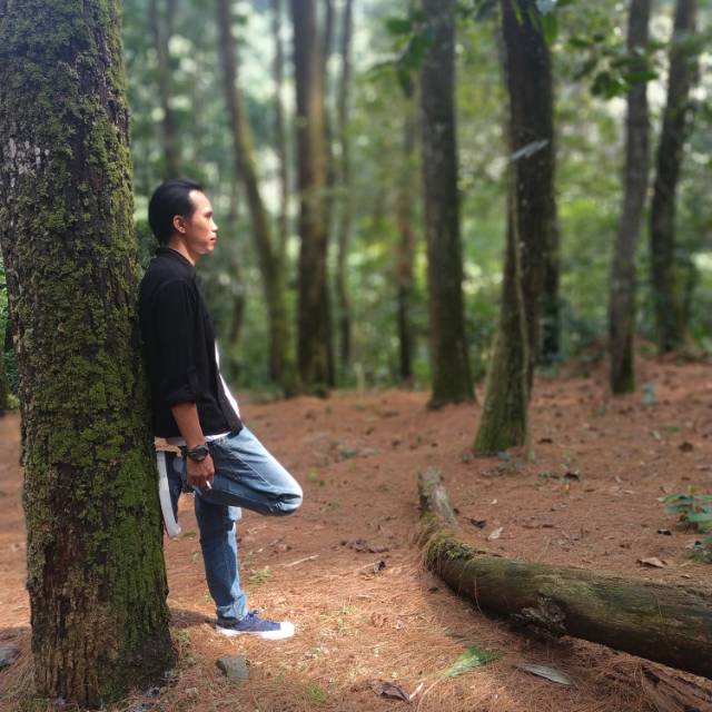 shamebryzhallchasstallo