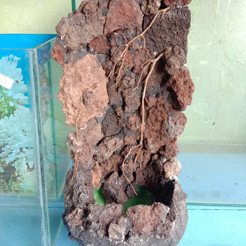 Air Terjun Aquascape