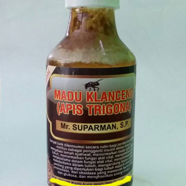 

madu klanceng ternak asli