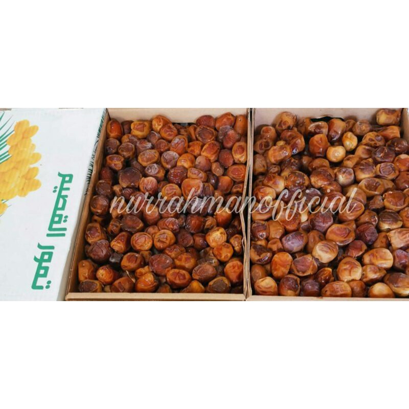 

Kurma Sukari - Kurma sukkari - Kurma Arab - kurmamurah